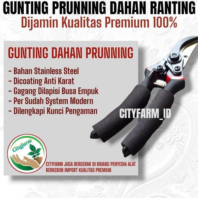 Gunting dahan ranting terbaik bahan stainless steel
