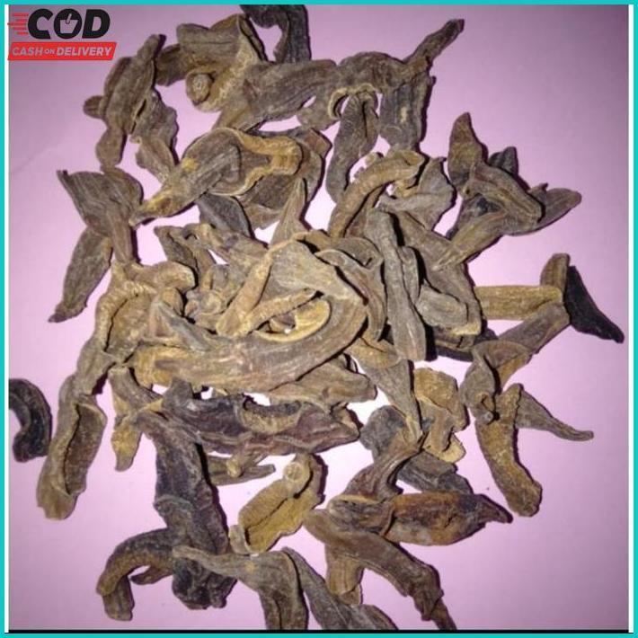 Lintah Kering Asli 100% Efektif