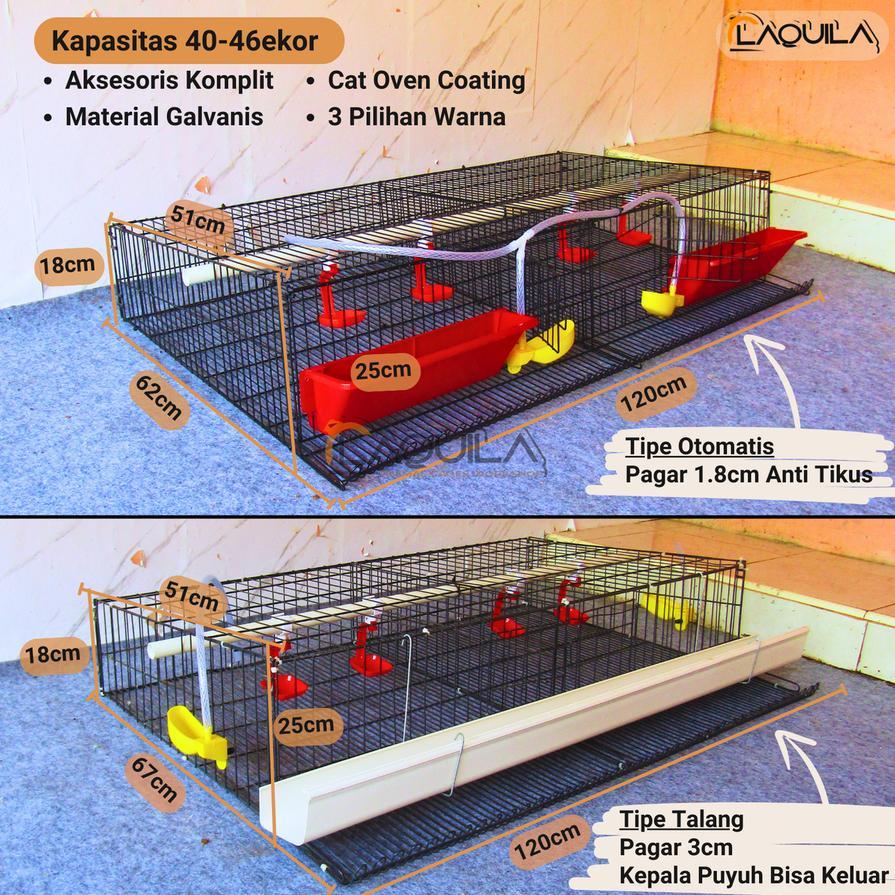 Kandang Puyuh Galvanis Puyuh Petelur 40 - 46 Ekor