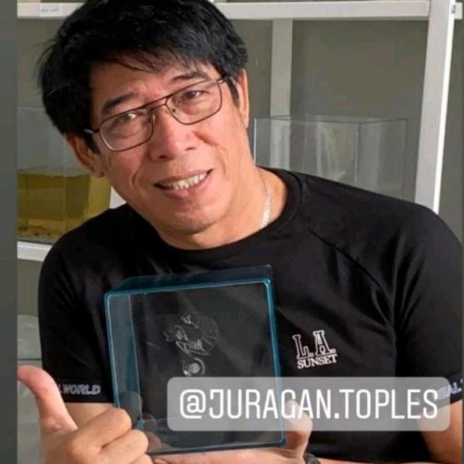 Soliter Ikan Cupang 4L - JURAGAN TOPLES persegi panjang random