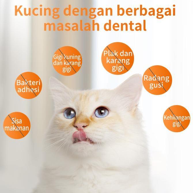 Snack Penghilang Bau Nafas Mulut Kucing Pembersih Plak Gigi Penyegar Dialy Oral Care 50g snack ee ku