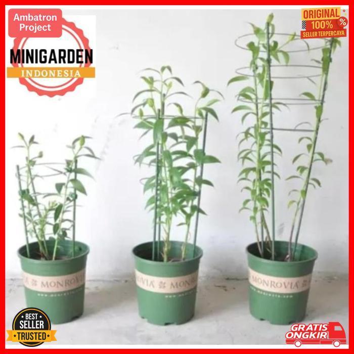Sale Flower Support 90 Cm Ajir Melingkar Green Tower Penyangga Tanaman Merambat