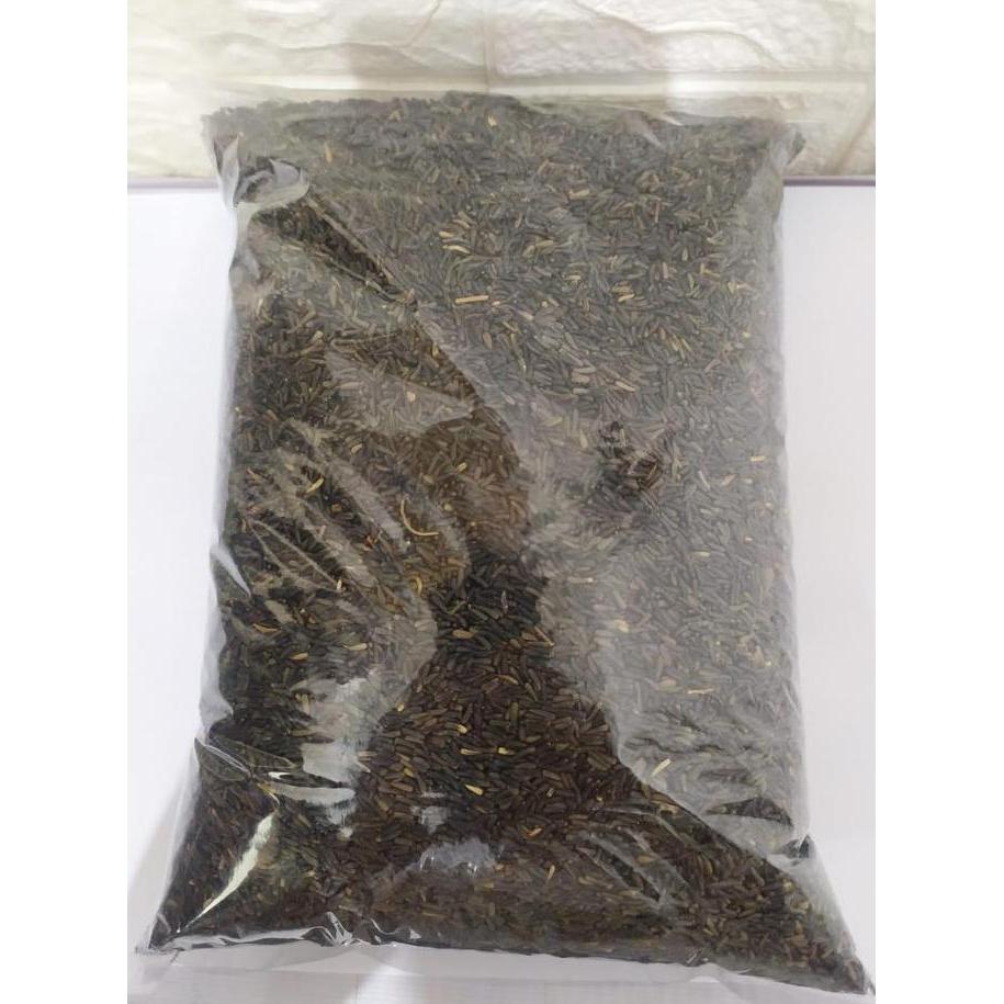 Tqs Niger Seed 100Gram Pakan Burung Red Siskin Kenari Love Bird Blacktroat