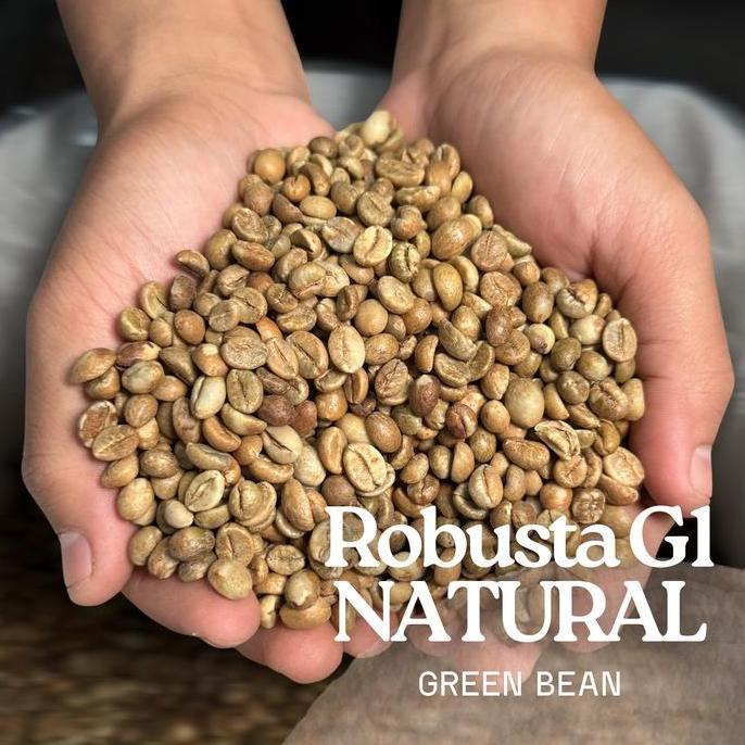 Green Bean Robusta Natural Grade 1 - 1kg Biji Kopi Mentah Flores Manggarai
