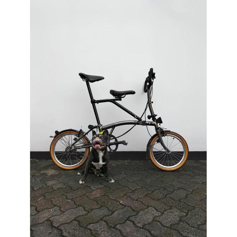 Ready folding bike 16inch brompt child seat