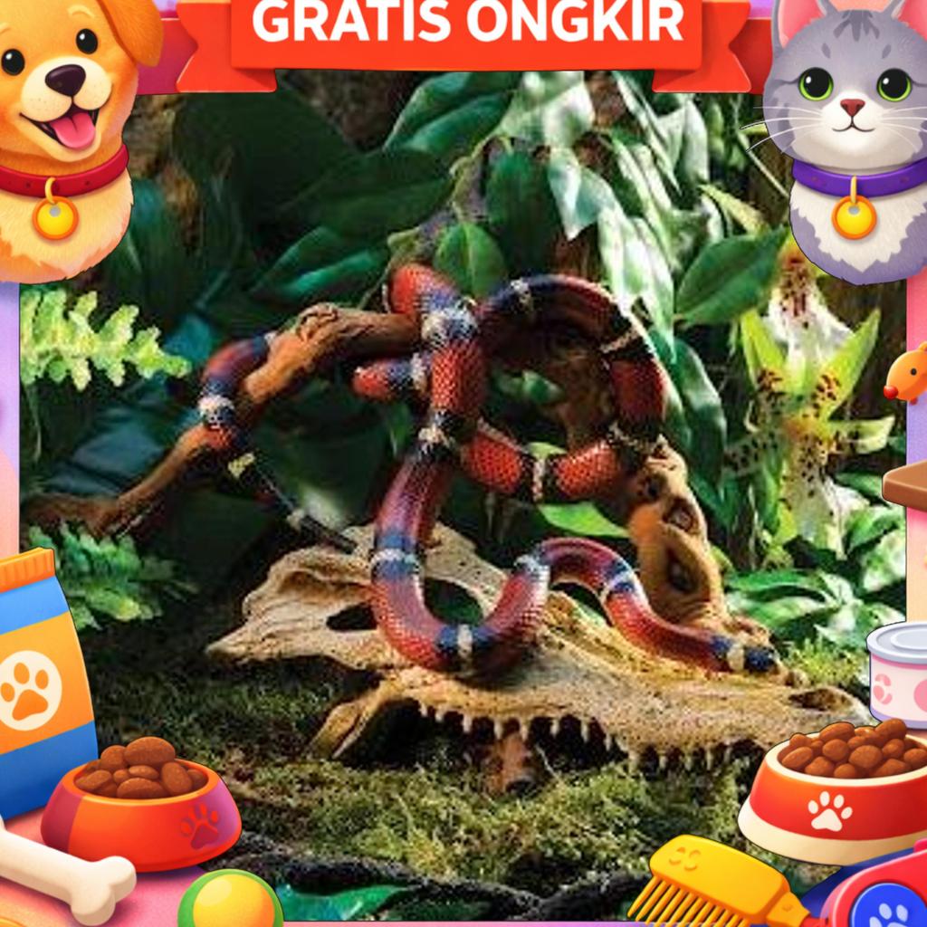 Exoterra Skull / Tempat Sembunyi Dekorasi Kandang Reptil Ular Kadal