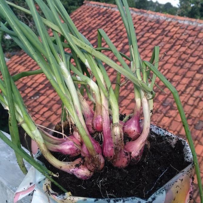 Gardenfil Ab Mix Premium 1 Liter ( Sayur Buah Dan Umbi)