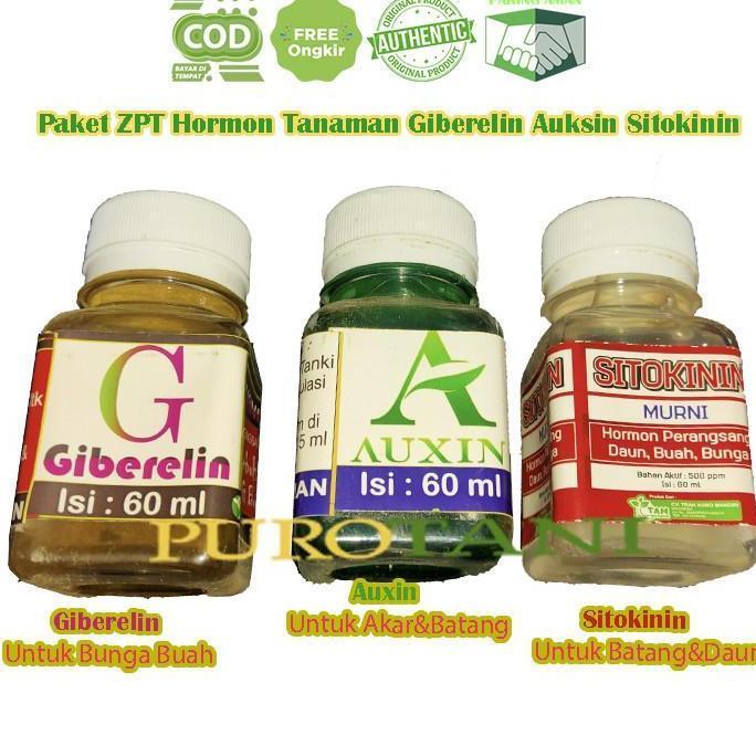 Paket Hormon Tanaman Giberelin Auksin Sitokinin