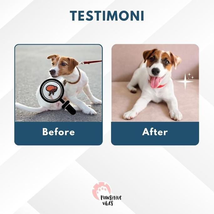 Sisir Kutu Elektrik untuk Kucing Anjing - Sisir Penghilang Kutu Anabul