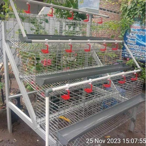 Kandang Batre Galvanis Ayam Petelur Pintu 4 isi 8 Ekor