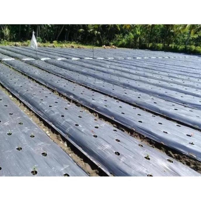 Plastik Mulsa Kemasan 1KG Panjang 40meter /plastik mulsa hitam perak/plastik pertanian warna Silver/