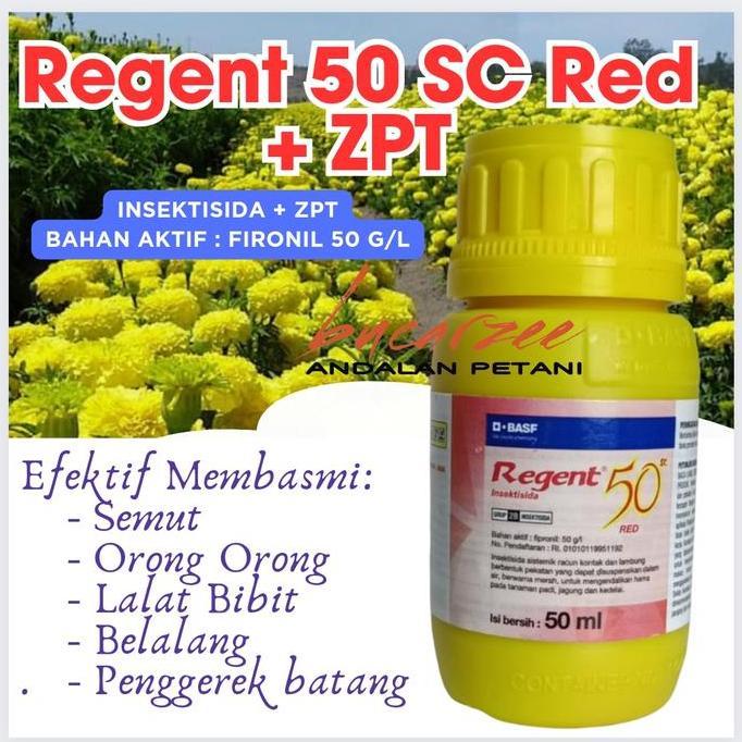 Insektisida + ZPT. Regent 50 SC Red