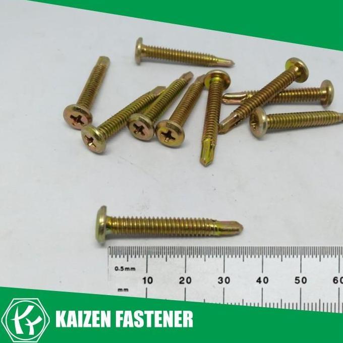 Dnabig- #10X35 Sekrup Wafer Head Sds