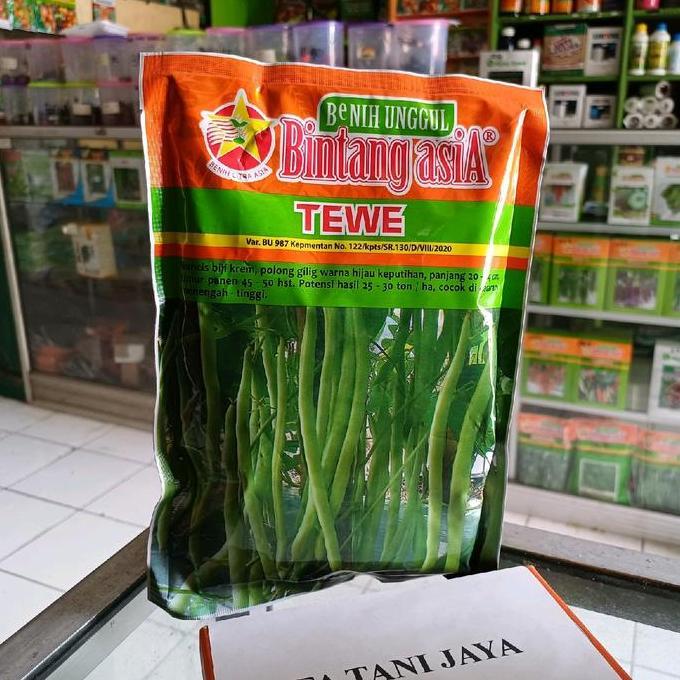 Ground- Benih Bibit Buncis Tewe Bintang Asia