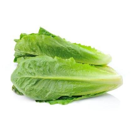 Sayur Selada Romaine 200 gr Sayur Segar Hidroponik Romaine Lettuce