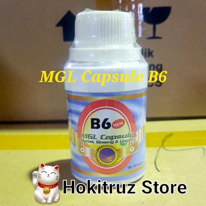 Healtiwi- Kapsul Mgl Super Mgl Capsule B6 New