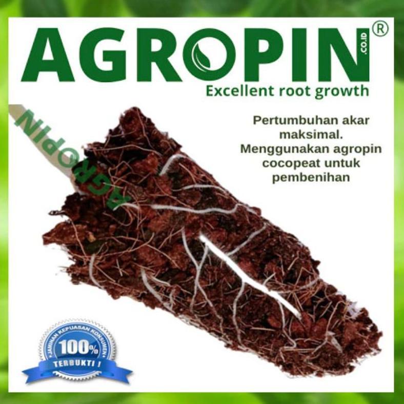 Bisa Cod Ya Kak Media Tanam Cocopeat Premium Block 1Kg  Low Ec - Agropin ....