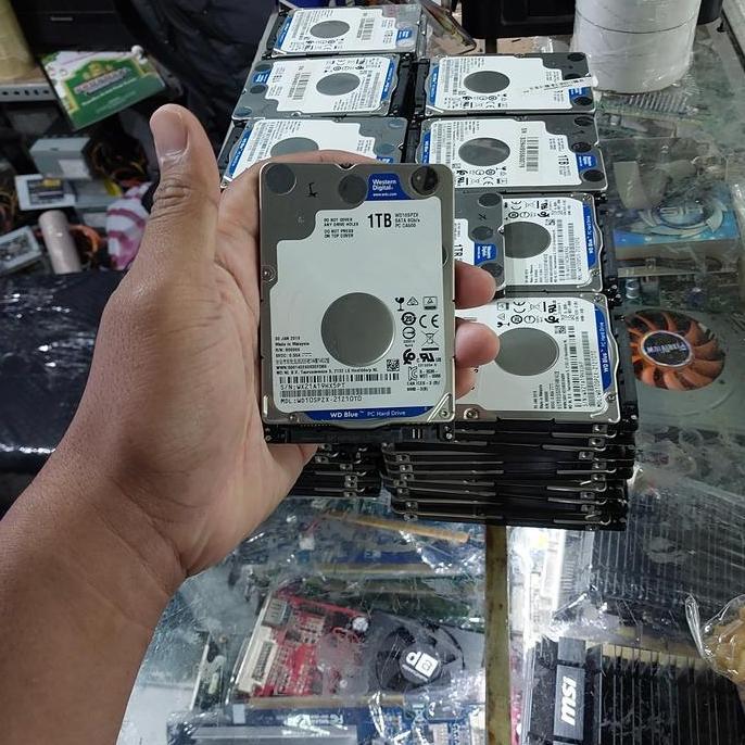 Hard Disk 1TB 2.5 Sata Western Digital Blue - HDD Laptop WD Blue 1Tb 2.5inch sata - Hardisk 500Gb No