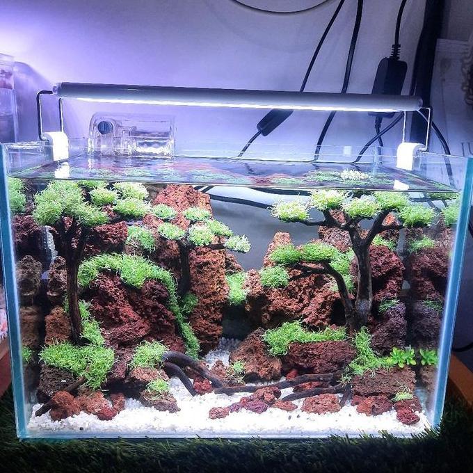 Aquascape Tema Tebing Fullset