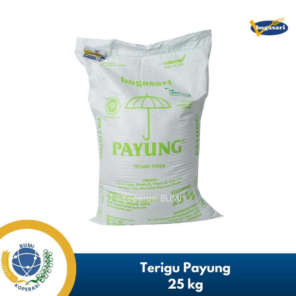 Tepung Terigu Bogasari Payung 25 kg