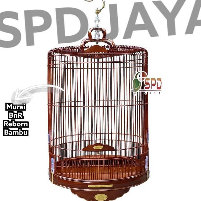 Bluee- Sangkar Burung Murai Bnr Reborn Termurah Original 100%