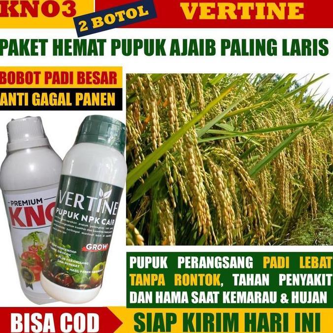 Taman- Paket 2 Botol Vertine & Kno3 Premium Obat Pelebat Anakan Padi Lebih Banyak Tanpa Hama Dan Pen
