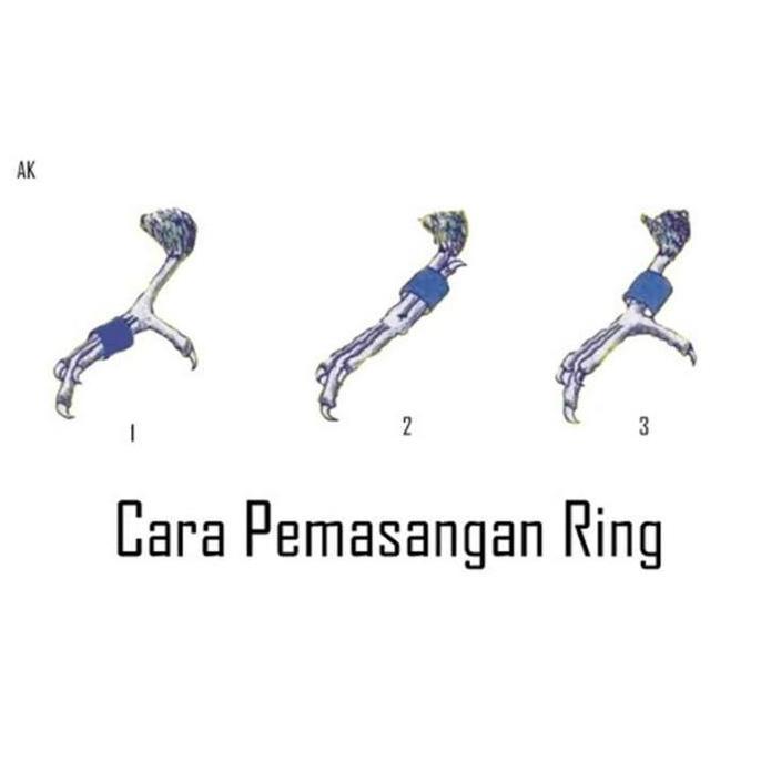 Bluee- Rantai Rante Ring Borgol Kaki Burung Love Bird Betet Parkit Lovebird