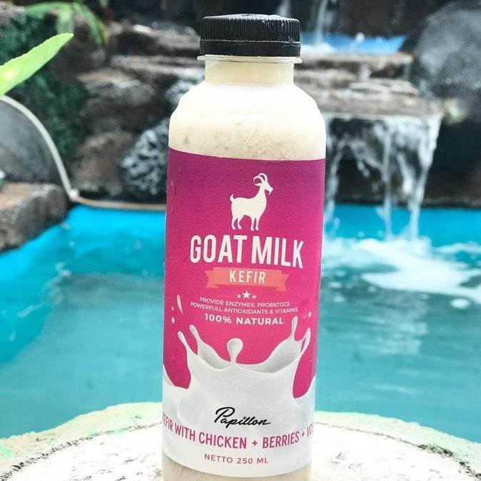 Dogindog- Papillon Susu Kefir Kambing 250 Ml Dengan Chicken Berries & Vco - Kaya Probiotik Vitamin B