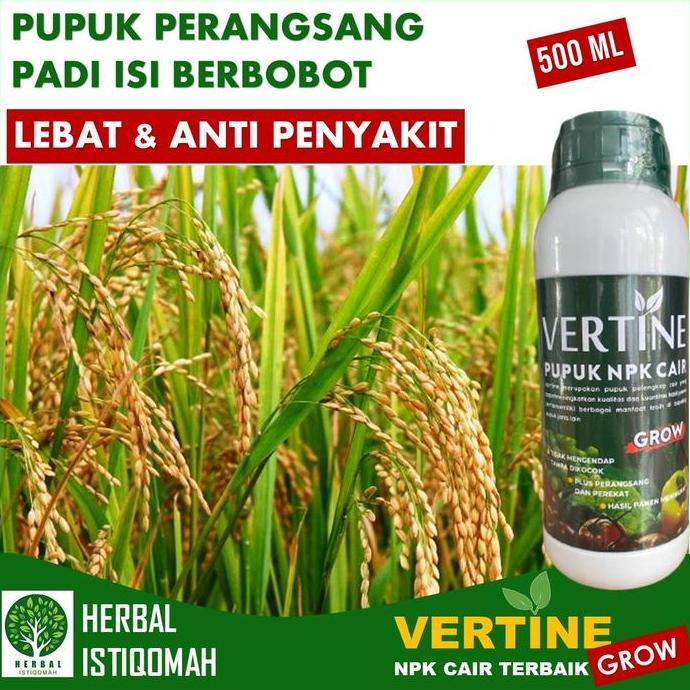 Taman- Rekomended Pupuk Buah Padi Terbaik Isi 500 Ml Vertine Grow Pupuk Pembesar Buah Padi Lebat Tan