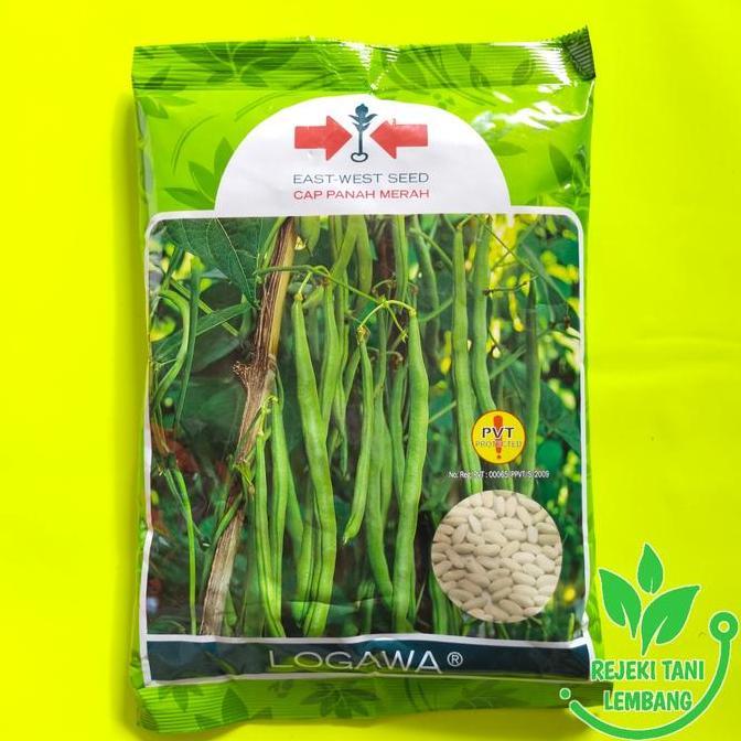 Taman- Benih Buncis//Benih Buncis Logawa 500 Gr