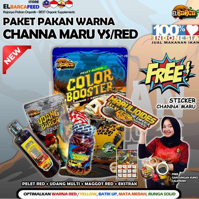 Blebeb- Paket Pakan Channa Maru Ys Red Push Batik Up Warna Red Yellow Up Mata Merah Free Sticker Cha