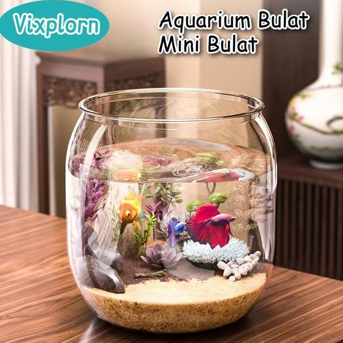 fazazenn - vixplorn aquarium bulat mini bulat aesthetic aquarium tank cupang mini vas aquarium bulat