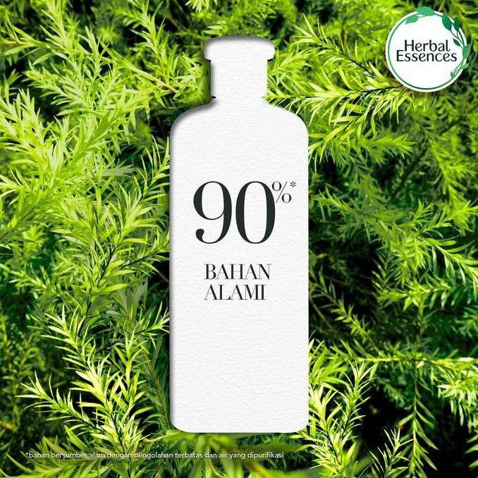 Styling- Herbal Essences Tea Tree Oil Shampoo 400Ml - Perawatan Rambut
