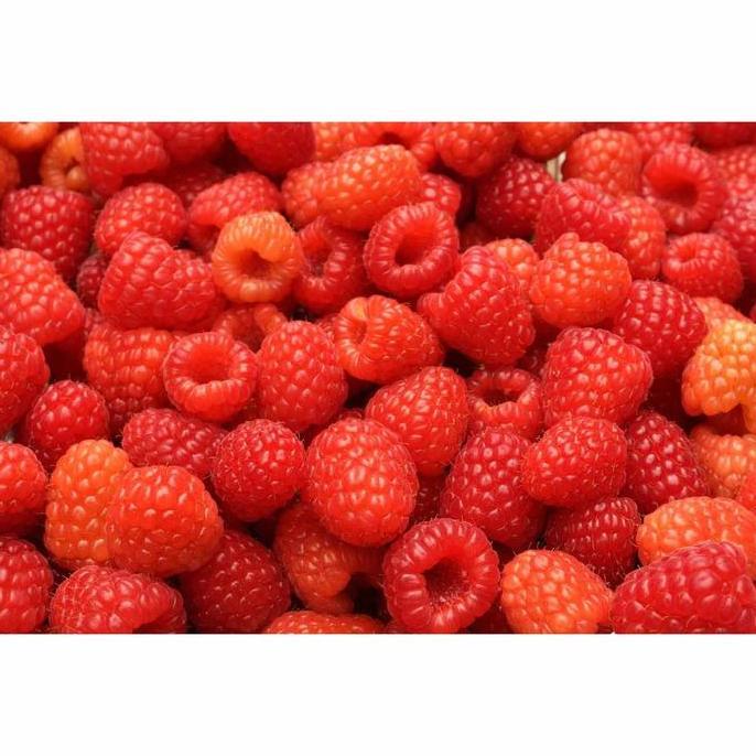 Frozen raspberry/raspberry beku 1 kg import IQF