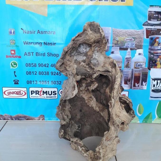 Hiding cave kayu kopi Aquascape