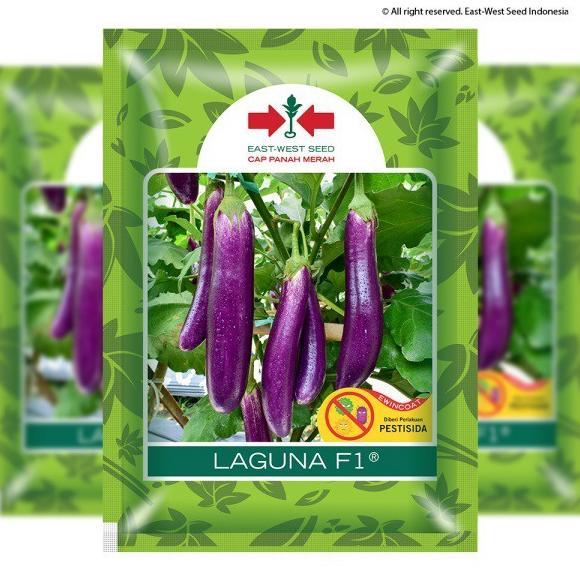 Benih Terong Ungu LAGUNA F1 Isi 1.100 Biji Cap Panah Merah / Benih Terong Laguna F1 5gr