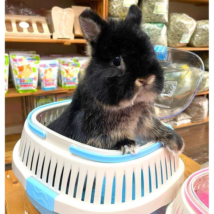 UMI PET CARRIER / TAS HEWAN / PET CARRIER