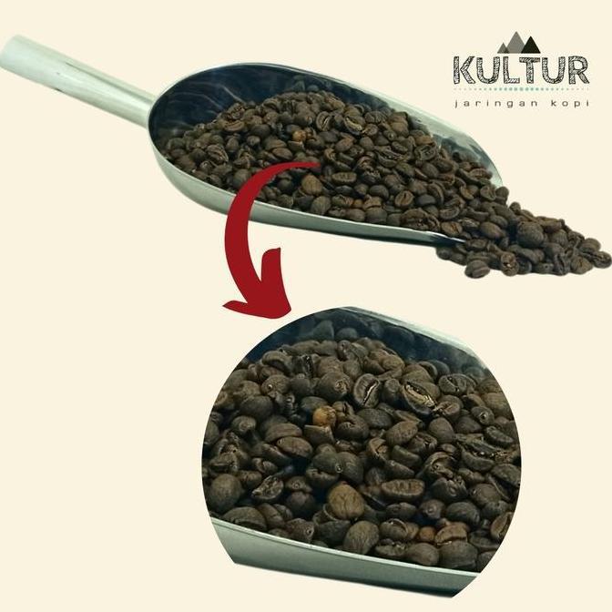 Coffee Bean Biji Kopi Arabika Aceh Gayo Ferment (Wine Aroma) 500 Gr