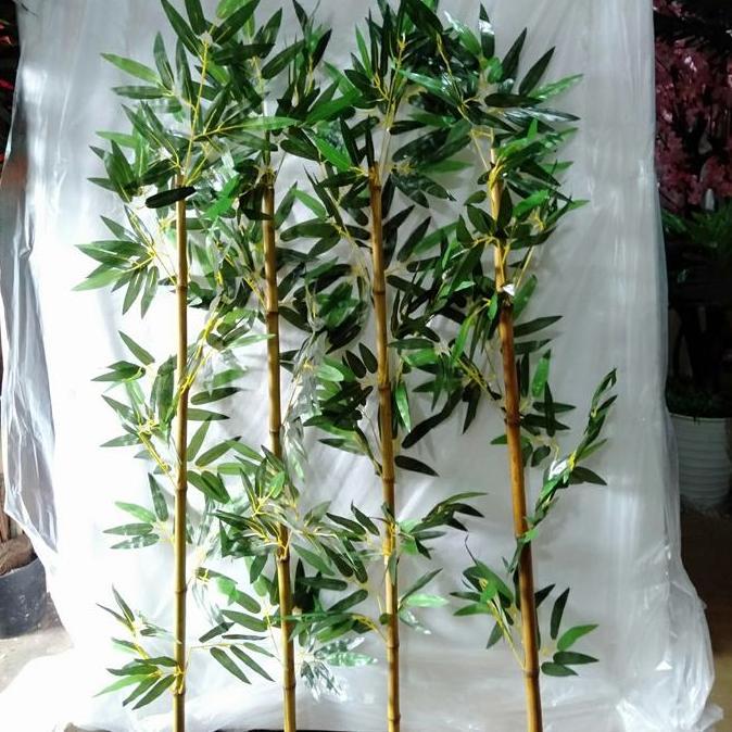 Lansungkirim- Pohon Bambu Partisi Cendani Batang Asli Tinggi 100Cm Total Dengan Daun Tinggi 120Cm Bu