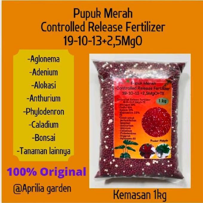 Gardendrm- Pupuk Osmocote Merah 19-10-13 - 1Kg Slow Release Fertilizer Aglonema,Bonsai