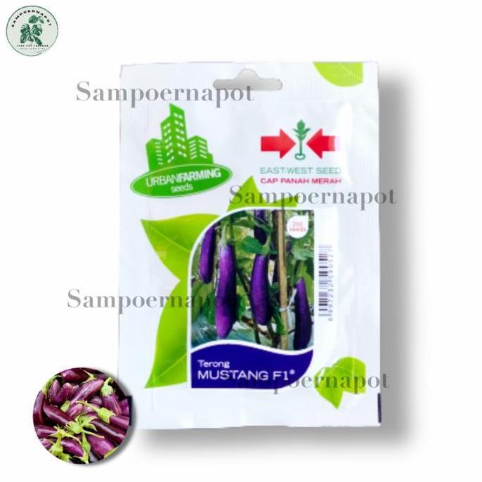 Gardendrm- Benih Bibit Terong Ungu Mustang F1 Cap Panah Merah - Terong Mustang F1