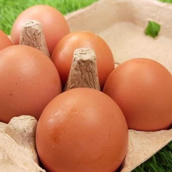 PAPER EGG 6 LUBANG / BOX TELUR KARTON 50 PCS