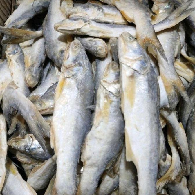 Ikan Asin Sinangin Medan 1kg