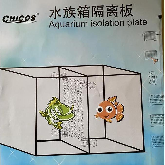 Aquarium Isolation Plate 30 cm x 30 cm u. Sekat Akuarium