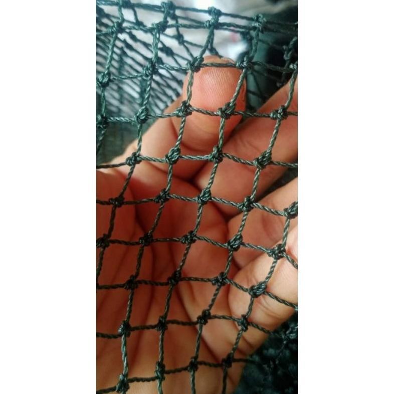 Bisa Cod Jaring Pagar Ayam Tebal Lubang 1Cm Uk 2Mx10M +Tali ..