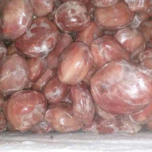 Terlaris Daging Kelinci New Zealand Pure Kelinci Nz Tekstur Alami Lembut