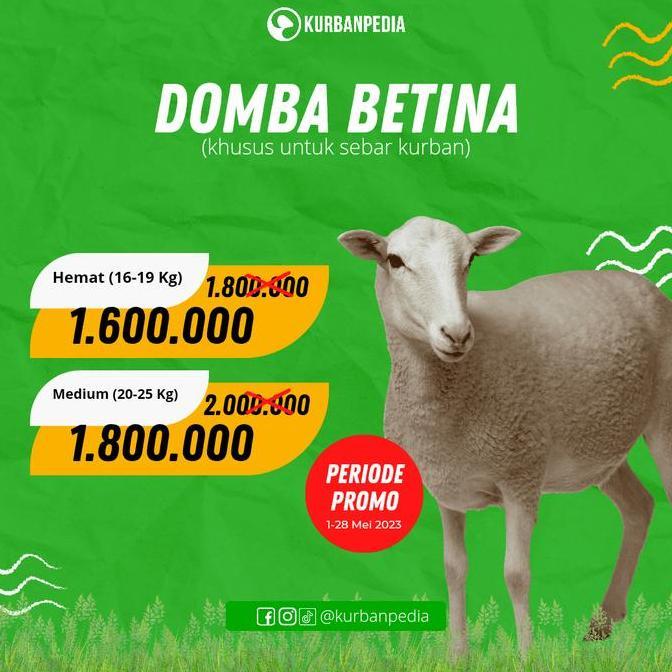 Terlaris Kambing / Domba Kurban Qurban Murah - Tipe Hemat