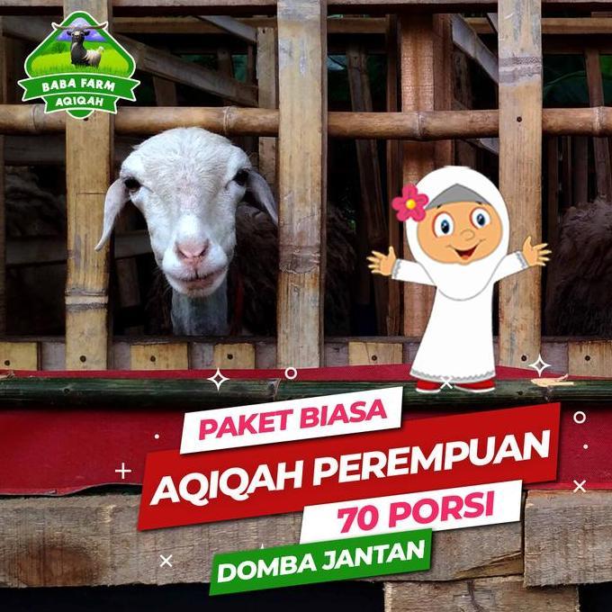 Terlaris Aqiqah Paket Biasa C Perempuan (Domba Jantan)