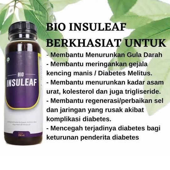 Grildd- Bio Insuleaf Herbal Insulin Ampuh Atasi Diabetes Dan Turunkan Gula Darah 250Ml Asli Original
