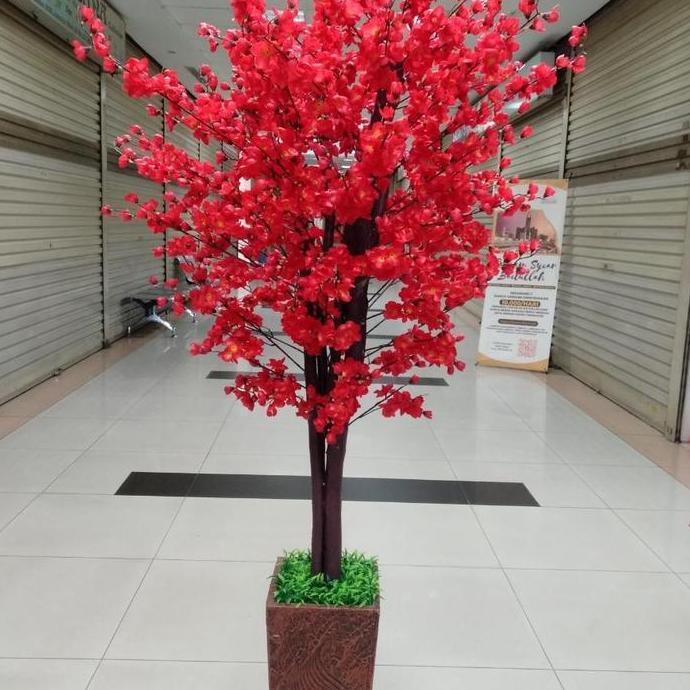 Pohon meihua sakura imlek angpao besar tinggi 2 m meter TS